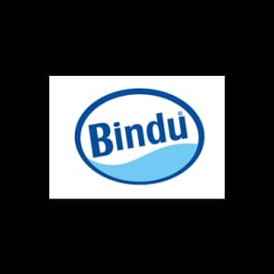 Bindu